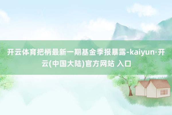 开云体育把柄最新一期基金季报暴露-kaiyun·开云(中国大陆)官方网站 入口