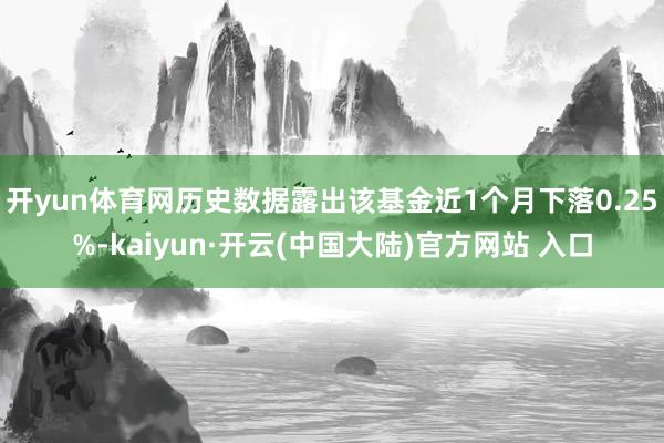 开yun体育网历史数据露出该基金近1个月下落0.25%-kaiyun·开云(中国大陆)官方网站 入口